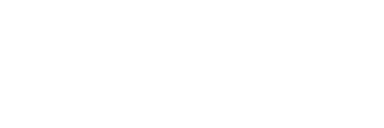 Vida Innova